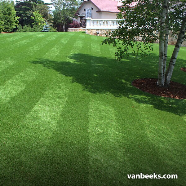 AGL Kent Artificial Turf preview